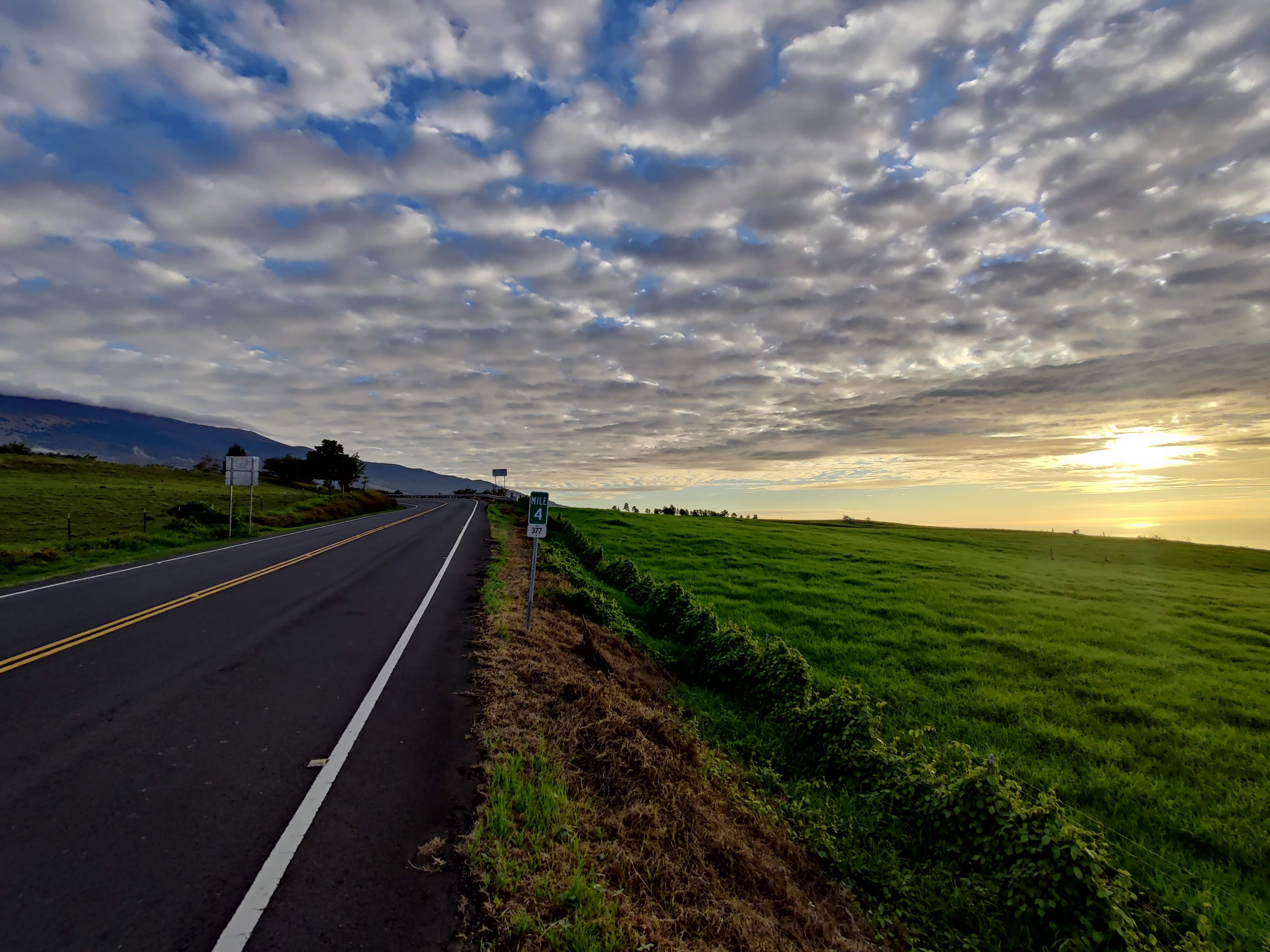 Maui scenic open road with green fields